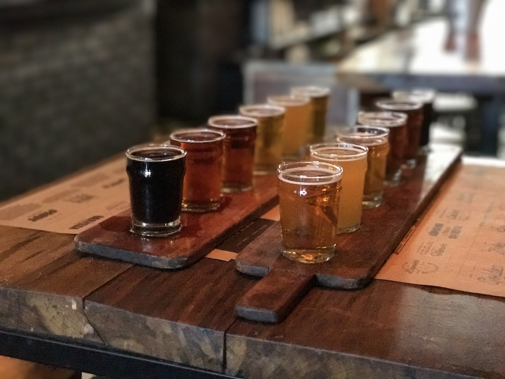 Samples of craft beers to taste 
