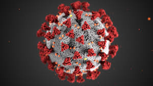 Covid-19 virus