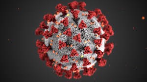 Covid-19 virus
