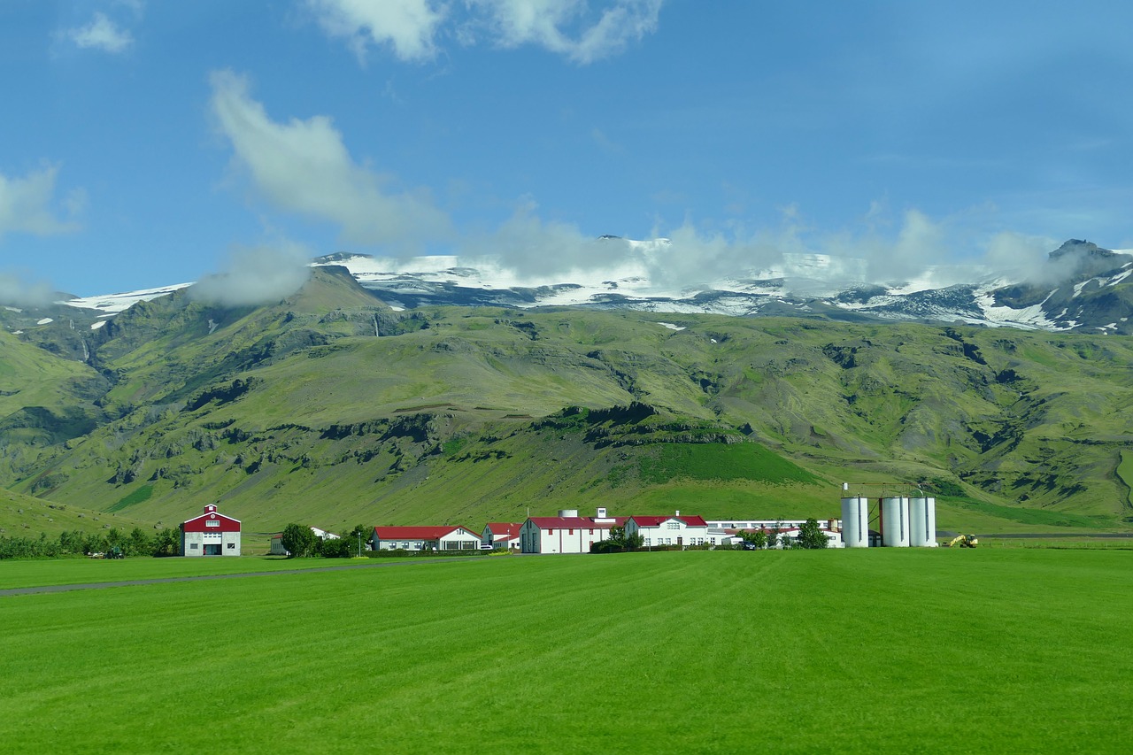 farm in Iceland