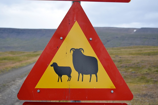 Road signs in Iceland