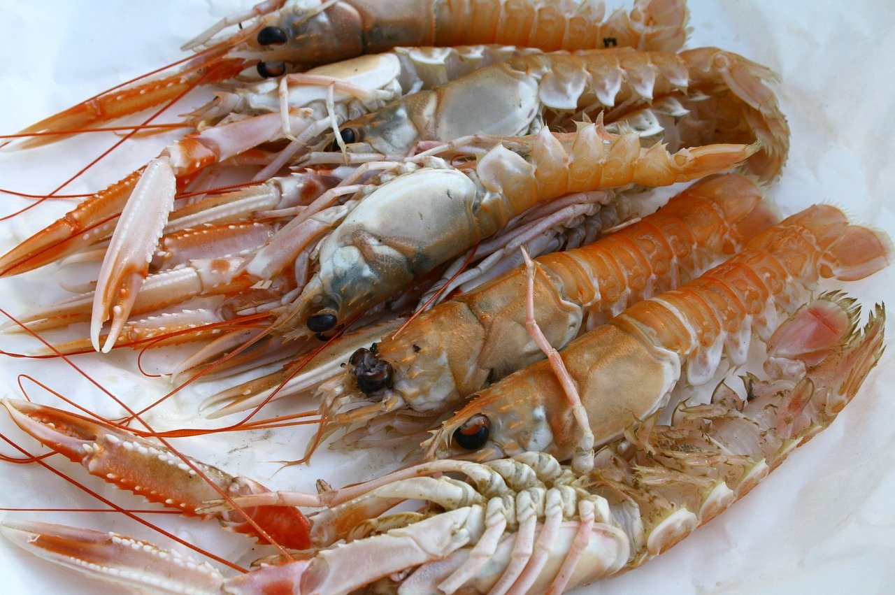 langoustine