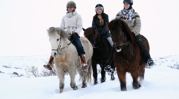 Lava Tour Horseriding