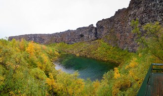 Ásbyrgi canyon in Iceland