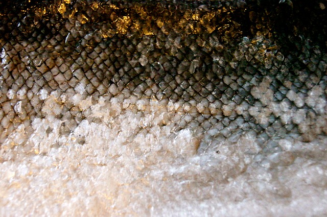 Fish skin shoes