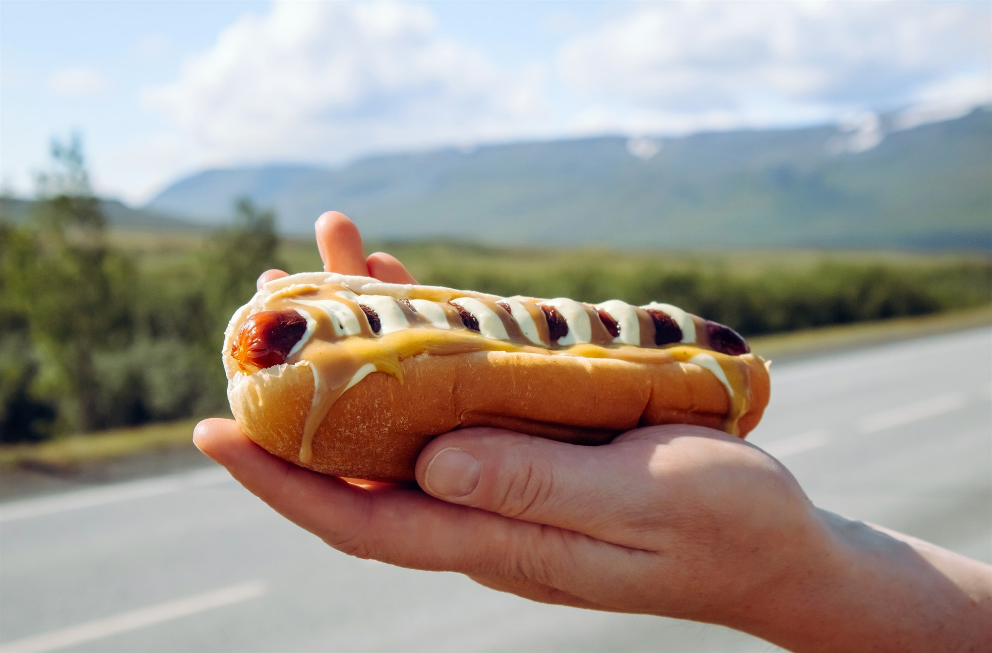Icelandic hot dog, pylsa.