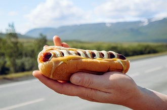 Icelandic hot dog, pylsa.