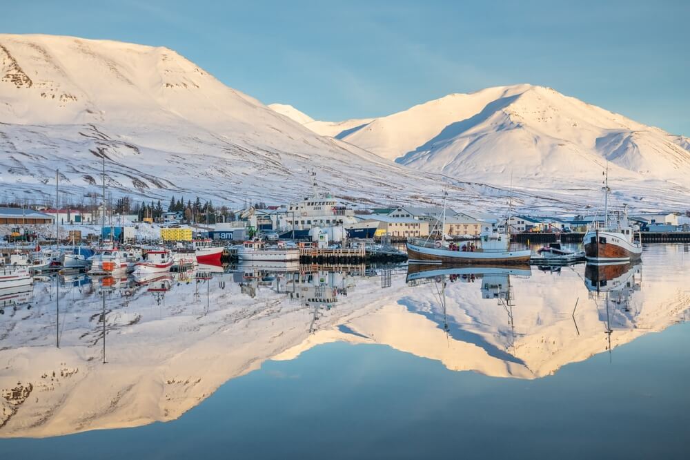 Dalvik north iceland fishing village and whale watching boats