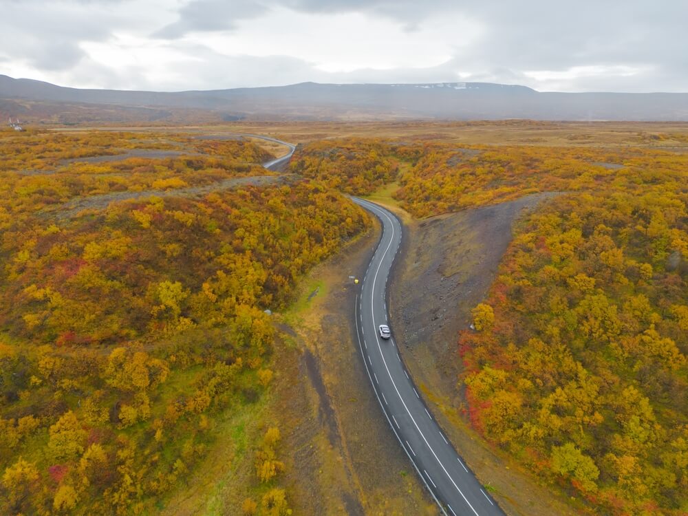 Iceland road scenery in autumn