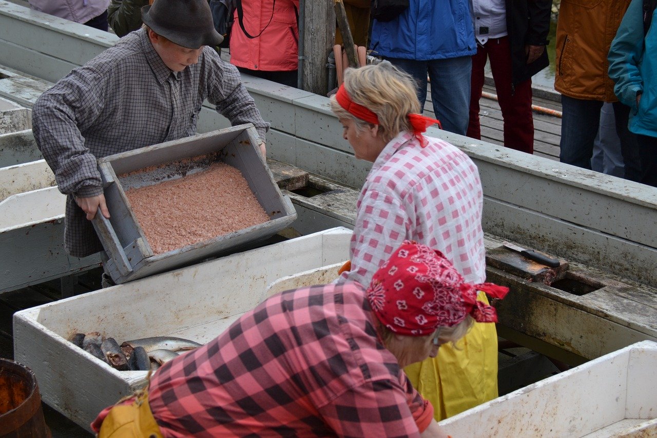 herring processing in Siglufjörður