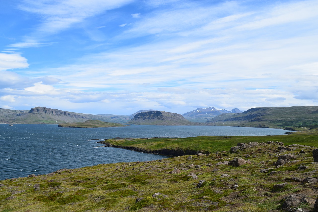 whale fjord in Iceland